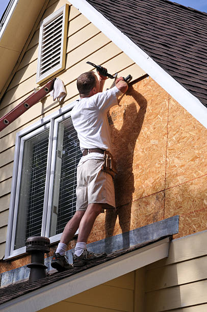 Best Siding Removal and Disposal  in Trinity, FL